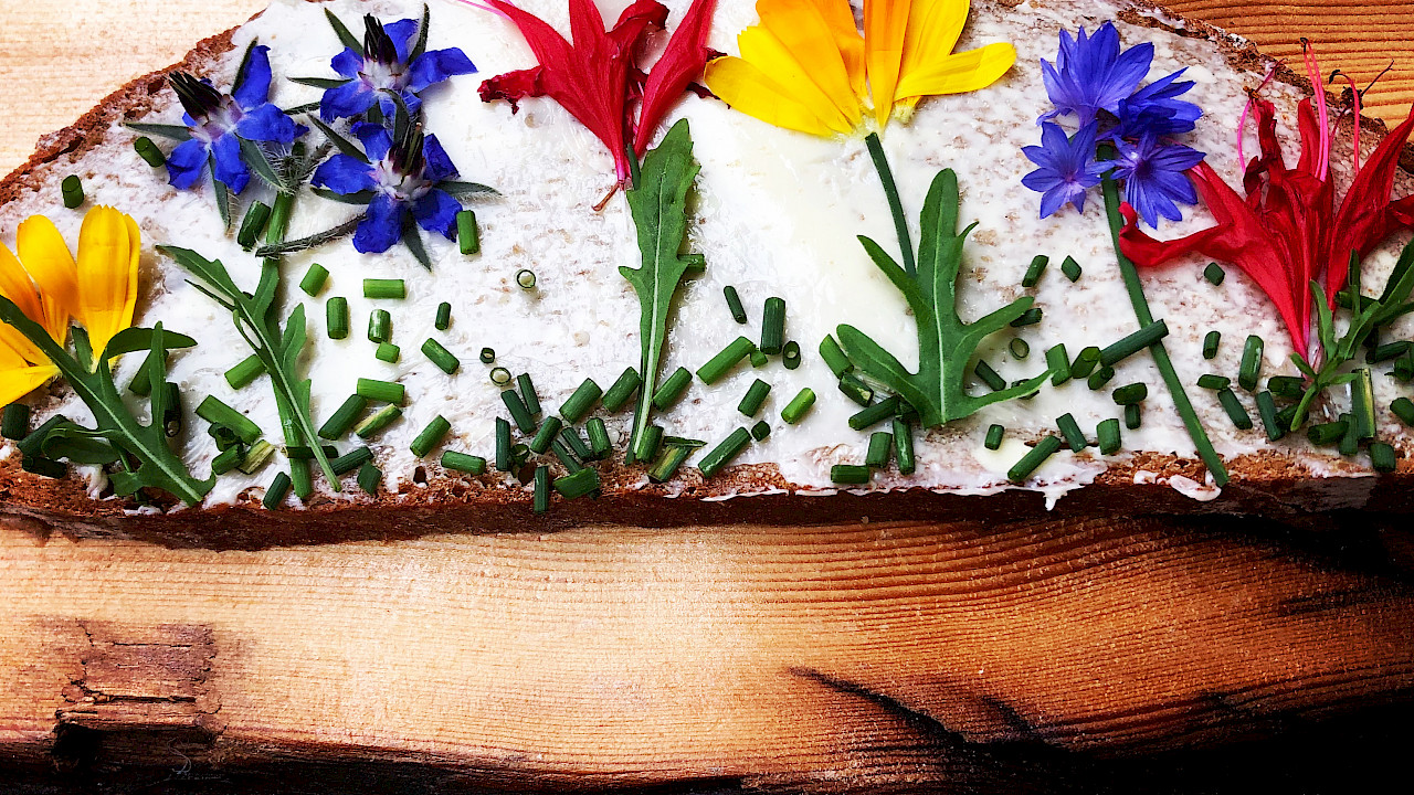 Butterbrot mit frischen essbaren Blüten - Kochen und Backen mit Edith